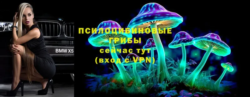 Псилоцибиновые грибы MAGIC MUSHROOMS  Михайловск 