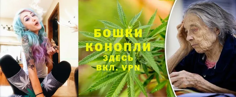 наркота  Михайловск  Шишки марихуана SATIVA & INDICA 